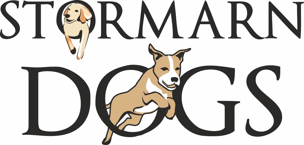 Logo Stormarn Dogs mit zwei Hunden beim Agility